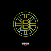 Boston Bruins Sign